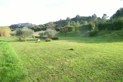 a field of green grass with trees and bushes at Gite Charlrose at La Platriere in Cazedarnes
