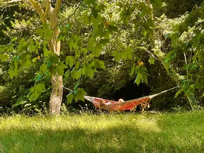 a person sitting in a hammock under a tree at Le Pavillon Du Regisseur in Val-de-Dagne