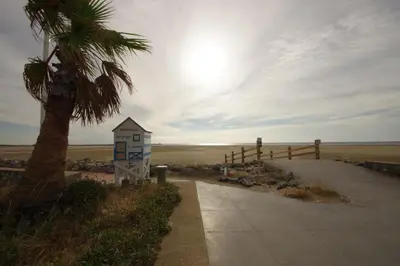 a palm tree and a building next to a beach at Duplex Climatisé 65m2 refait à neuf in Gruissan