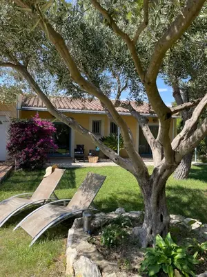 a skateboard ramp under a tree in a yard at chambres d'hôtes du moulin in Peyriac-de-Mer