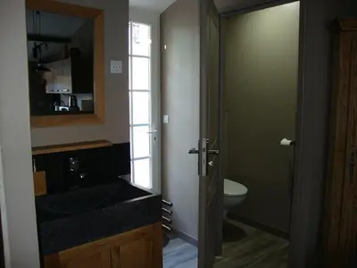 a bathroom with a sink and a toilet at Gîte Les Roseaux Spa extérieur privatif inclus in Moussan