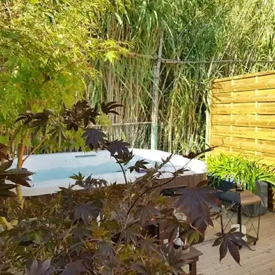 Gîte Les Roseaux Spa extérieur privatif inclus