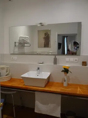 a bathroom counter with a sink and a mirror at La Grande Maison in Cambieure