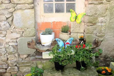 two butterflies are sitting on some plants and flowers at Maison près Cité de Carcassonne in Villalier