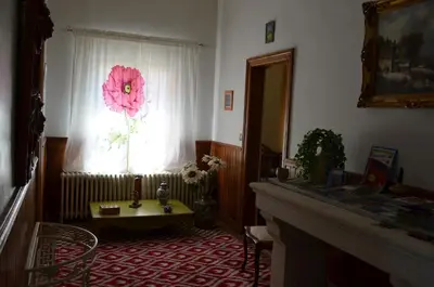 a living room with a window with a pink flower on the curtain at LA LOUISIANE 31 in Villefranche-de-Lauragais
