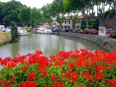 a group of red flowers next to a river with boats at LA LOUISIANE 31 in Villefranche-de-Lauragais