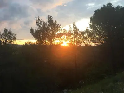 a sunset behind some trees in a field at Maison Minervois in Agel