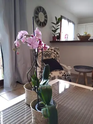 a living room with a clock on the wall and flowers at Gîte avec vue imprenable sur la Cité in Carcassonne