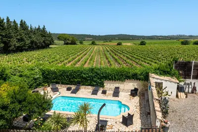 a swimming pool in front of a vineyard at Domaine de Parazols in Fabrezan