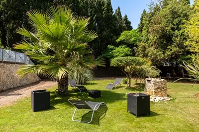 a yard with two chairs and a palm tree at Domaine de Parazols in Fabrezan
