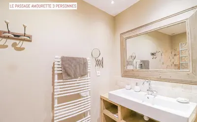 a bathroom with a sink and a mirror at Le Passage in Carcassonne