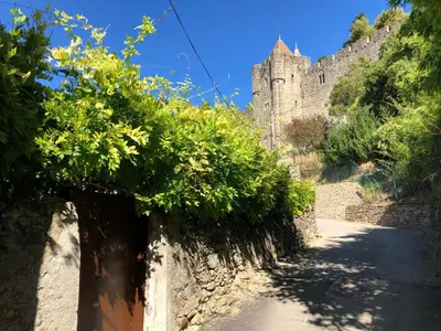 a road with a castle in the background at Coté remparts in Carcassonne