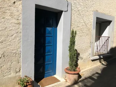 a blue door with a cactus in front of a building at Coté remparts in Carcassonne