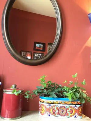 a mirror on a wall with a plant in a pot at les camélias in Mazamet