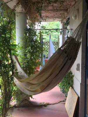 a hammock hanging from a wall in a house at les camélias in Mazamet