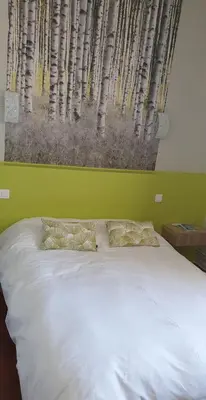 a bedroom with a large white bed with a window at Le Tournedos in Lézignan-Corbières