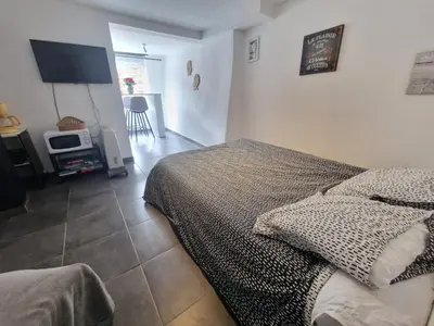 a bedroom with a bed and a flat screen tv at Le camélia de la mazarié in Saint-Vincent