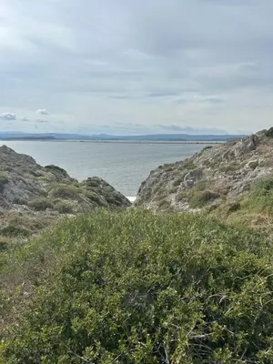 a view of the ocean from a rocky beach at La Belle Gruissanaise in Gruissan