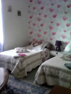 a bedroom with two beds with pink flowers on the wall at La maison des vendangeurs in Trausse