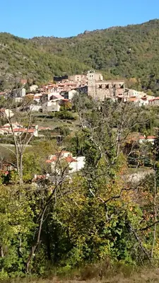a town in the middle of a hill with trees at La carole in Mosset