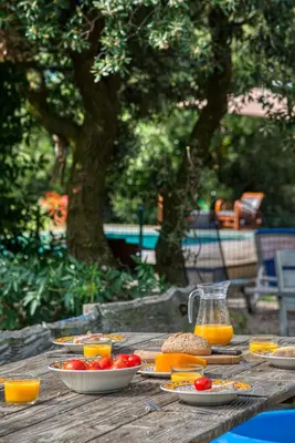 a wooden table with plates of food and orange juice at Glamping Tent Joy in Vélieux