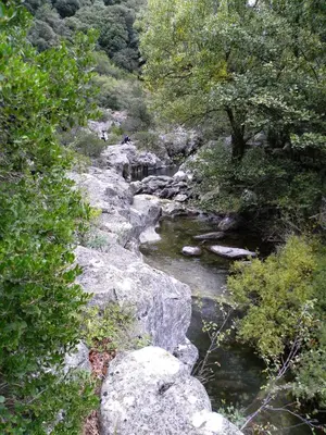 a stream of water with rocks and trees at Glamping Tent Joy in Vélieux