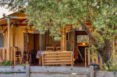 a porch of a house with a bench and a tree at Glamping Tent Joy in Vélieux