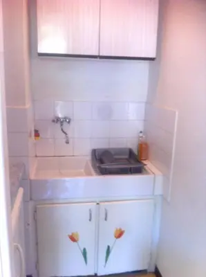 a small kitchen with a sink with flowers on it at Studio confortable, Rennes les bains, 17 m² + Balcon in Rennes-les-Bains