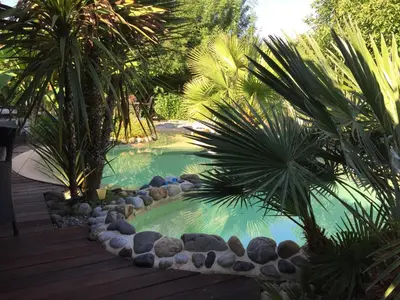 a swimming pool with palm trees in a yard at Domaine Le Village in Villenouvelle