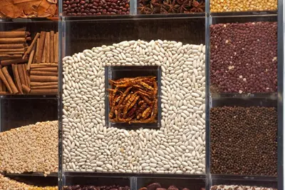 a display of different types of nuts and dried goods at Maison du Cassoulet in Castelnaudary