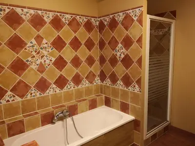 a bathroom with a bath tub and a shower at L'Ours des Corbières - Chambres d'hôtes in Serviès-en-Val