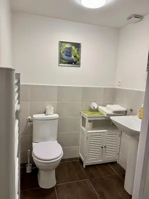 a bathroom with a toilet and a sink at Studio au Coeur du Village avec terrasse et parking proche de Pamiers in Verniolle