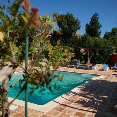 Jardin de Palme