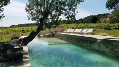 a pool of water with chairs and a tree at Château La Villatade in Sallèles-Cabardès