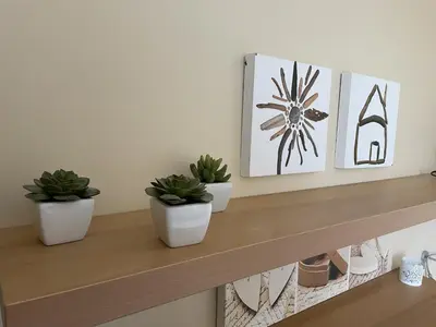 three potted plants sitting on a wooden shelf at Le Gîte de la Bade in Villegailhenc