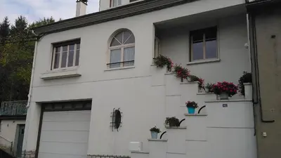a white house with potted plants on the side of it at Chez Charlotte et Michel in Brassac