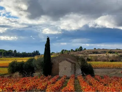 a small building in a field of colorful flowers at Studio Les Régates avec loggia et parking gratuit Plage du Grazel Gruissan in Gruissan