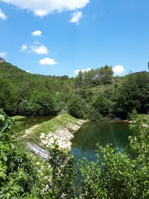a view of a river with trees in the background at Chambres d hôtes Le clos des vins d anges in Saint-Pierre-des-Champs