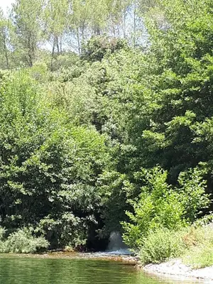 a body of water with a bunch of trees at Chambres d hôtes Le clos des vins d anges in Saint-Pierre-des-Champs