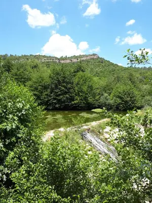 a view of a hill with trees in the foreground at Chambres d hôtes Le clos des vins d anges in Saint-Pierre-des-Champs