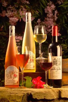 a group of wine bottles and glasses of wine at Hôtel Château de Cavanac in Carcassonne