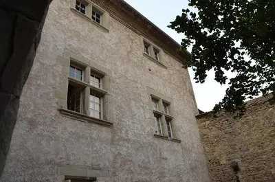 a building with windows on the side of it at Pelletier du Claux in Carcassonne