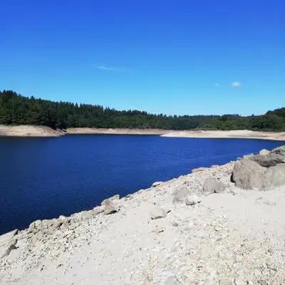 a large body of water with trees in the background at La Truite in Saint-Amans-Valtoret