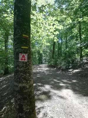 a tree with a sign on the side of it at La Truite in Saint-Amans-Valtoret