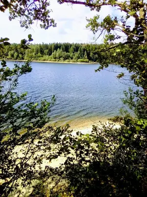 a view of a lake through the branches of trees at La Truite in Saint-Amans-Valtoret