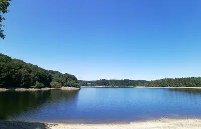 a view of a lake with trees in the background at La Truite in Saint-Amans-Valtoret