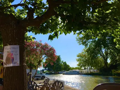 a tree with a sign on it next to a river at La Maison du Canal - Canal Studio in Homps