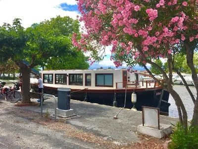 a boat is docked next to a tree with pink flowers at La Maison du Canal - Canal Studio in Homps