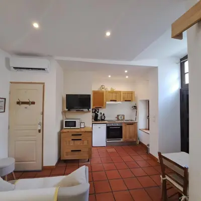 a living room with a kitchen and a couch at La Maison du Canal - Canal Studio in Homps