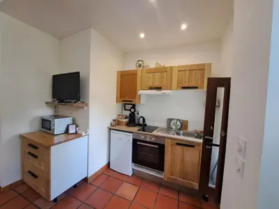a small kitchen with a sink and a microwave at La Maison du Canal - Canal Studio in Homps